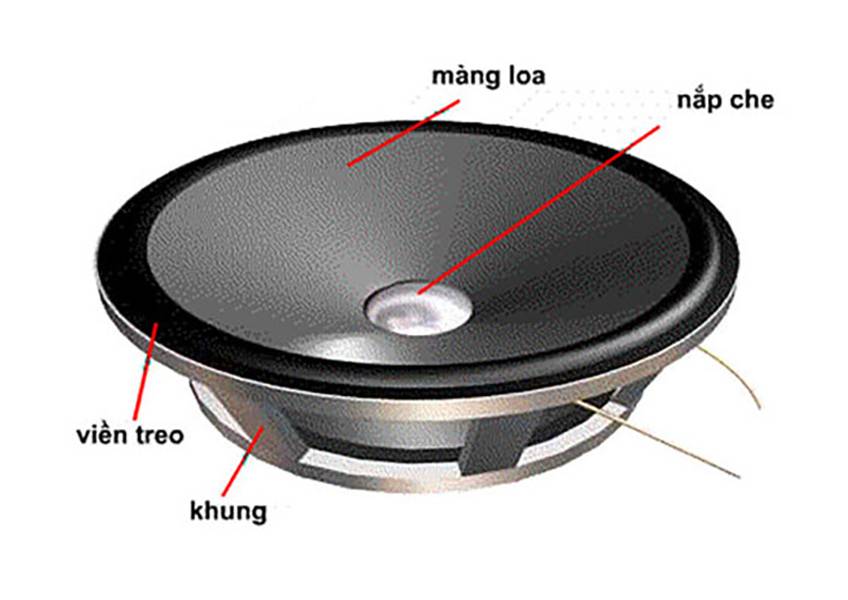 củ loa là gì, cấu tạo củ loa
