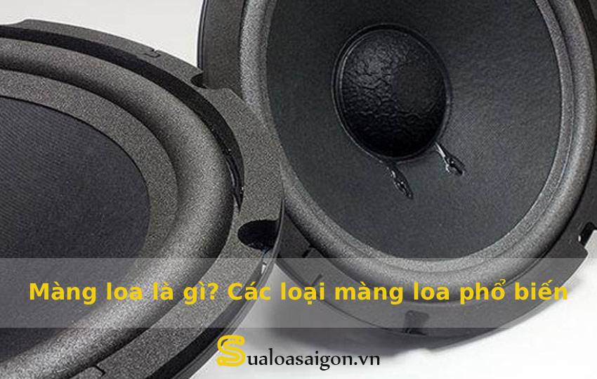 Màng loa là gì Các loại màng loa phổ biến