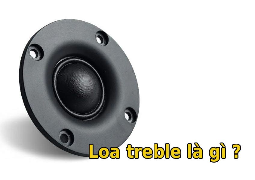 loa treble là gì