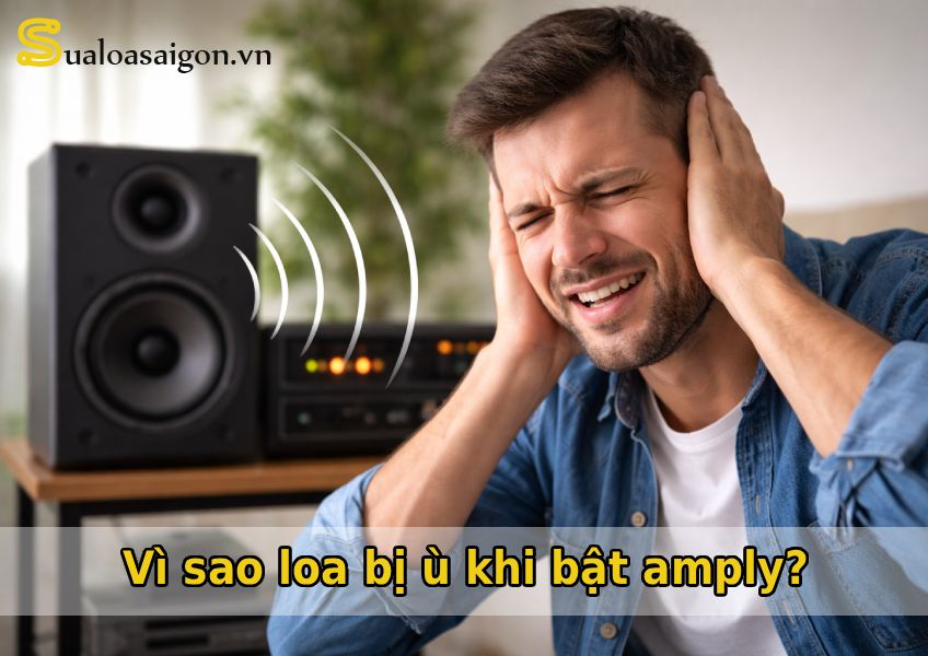 Vì sao loa bị ù khi bật amply